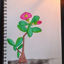 Mi Proyecto del curso: Dibujo para principiantes nivel -1. Fine Arts project by Iinda Irizarry - 01.23.2020