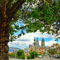 Mi Proyecto: Lo simple es maravilloso!. Un progetto di Fotografia all'aperto di englishsolutionsbm - 25.01.2020