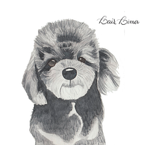 PC: Animalario - Técnicas experimentales de acuarela . Un progetto di Illustrazione tradizionale, Pittura ad acquerello, Belle arti e Illustrazione naturalistica di Lais Lima - 31.01.2020