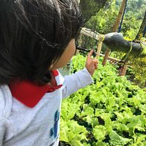 Conectando tu humanidad en armonía con la naturaleza. Education project by angiesamper1 - 01.27.2020