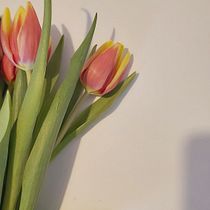Mi Proyecto del curso: Fotografía profesional para Instagram Ein Projekt aus dem Bereich Fotografie für Instagram von nikolina_kumburic - 05.02.2020