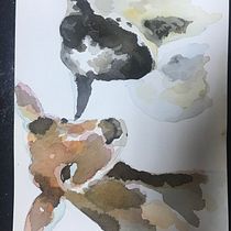 Mi Proyecto del curso: Técnicas experimentales de acuarela para principiantes . Un progetto di Disegno artistico di enrique.mondragon - 01.02.2020