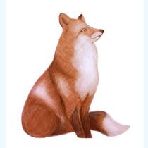 Mi Proyecto del curso: Ilustración digital con lápices de colores. Ilustração digital projeto de lamadeleine - 02.02.2020