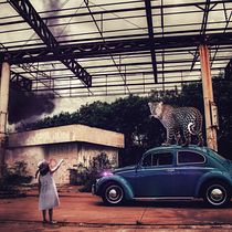 Mi Proyecto del curso: Secretos del fotomontaje y el retoque creativo. Fine-Art Photograph project by sabripessotto - 02.08.2020