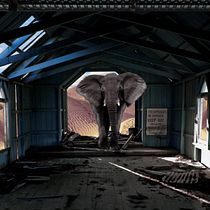 Mi Proyecto del curso: Secretos del fotomontaje y el retoque creativo // Elefante Errante // Lester E.. Traditional illustration project by Lester Alejandro Espinoza Mejía - 02.10.2020