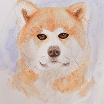 Mi Proyecto del curso: Técnicas experimentales de acuarela para principiantes  Ein Projekt aus dem Bereich Aquarellmalerei von Javier Brausin - 12.02.2020