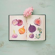 Mi Proyecto del curso: Ilustración de un diario naturalista. Ilustração tradicional, Ilustração botânica, e Pintura em aquarela projeto de cindyluv - 18.02.2020