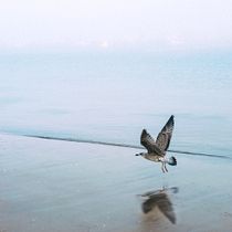 Galicia minimalista: mar y cultura . Fotografi proyek oleh Miriam C Diaz-Cano - 02.22.2020