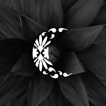 Luna de Puebla (Mezcal). Un progetto di Br, ing, Br e identit di yosreyes - 23.02.2020