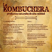 Mi Proyecto del curso: La kombuchera (venta de kits de kombucha, cursos, libros y productos naturales). Un proyecto de Marketing de contenidos de Brigido Ernesto Reynoso Marin - 25.02.2020