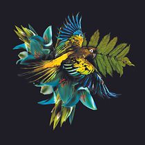 "Éndemico": Proyecto, estampado textil con técnicas digitales. Digital Illustration project by bsfigueroa89 - 02.29.2020