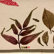 Mi Proyecto del curso: Ilustración botánica con acuarela. Ilustração botânica projeto de Mónica Angulo Pinto - 01.03.2020