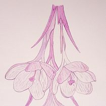 Mi Proyecto del curso: Técnicas modernas de acuarela. Un progetto di Belle arti di Gloria Cisa Molins - 02.03.2020