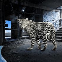 Mi Proyecto del curso: Secretos del fotomontaje y el retoque creativo. Design, and Photo Retouching project by Juan Felipe Zapata - 03.03.2020
