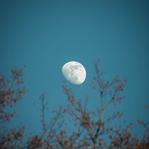 My project in Photo Composition and Editing for Instagram course. Un proyecto de Fotografía de Lorenzo Nucci - 05.03.2020