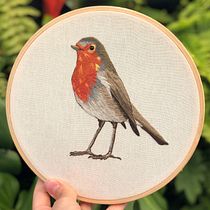 Mi primer proyecto pintando con aguja: Petirrojo. Embroider project by mandydelj - 03.06.2020