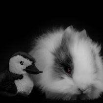 Pinkie. Un projet de Photographie de rafaelvelasco.rv - 08.03.2020
