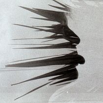 Natura. Film Photograph project by sibux.fotografia - 09.07.2020