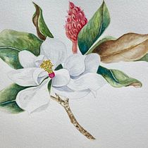Mi Proyecto del curso: Ilustración botánica con acuarela. Pintura em aquarela projeto de Marianne Saavedra - 05.05.2020