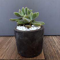 MACETEROS, VELAS Y MACETAS CONCRETO GRIS Y NEGRO. Een project van  Interieurdecoratie van Montse FloGo - 27.05.2020