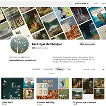 Mi Proyecto del curso: Introducción a Pinterest: crea contenido pin friendly. Social Media project by Lucía Triviño - 03.20.2020