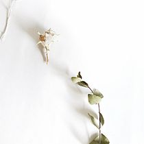 Mi Proyecto del curso: Fotografía profesional para Instagram . % arbideirune tarafından hazırlanan Mobil Fotoğrafçılık projesi - 03.20.2020