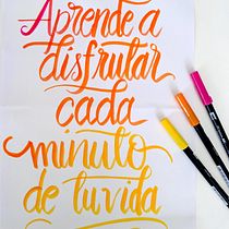 Proyecto Final: "Aprende a disfrutar cada minuto de tu vida.".  projeto de Nicole Casanova - 21.03.2020
