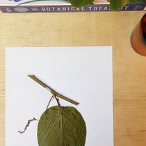 Meu projeto do curso: Exsicate . % victordoneida tarafından hazırlanan Instagram Fotoğrafçılığı projesi - 03.21.2020