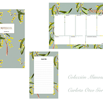 Colección Mimosa. Desenho, Ilustração tradicional, Ilustração botânica, e Pintura em aquarela projeto de carlotaotege23 - 22.03.2020