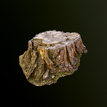 Mi Proyecto del curso: Fotogrametria 3D Ein Projekt aus dem Bereich 3D von Nicolas Cendales - 30.03.2020