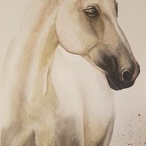 My watercolour animals. Traditional illustration, Watercolor Painting, Fine Arts, and Naturalistic Illustration project by Vesna G. Gorjanski - 04.08.2021