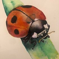 Primer proyecto acuarela watercolours =). Un progetto di Pittura ad acquerello di Alejandra Vargas - 25.03.2020