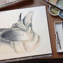 Animalario.. Un progetto di Illustrazione tradizionale di Isabel Arranz - 27.03.2020