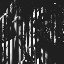 Mi Proyecto del curso: Fotografía para la imaginación. Fine-Art Photograph, Portrait Photograph, and Photographic Lighting project by lbenetti6 - 04.03.2020
