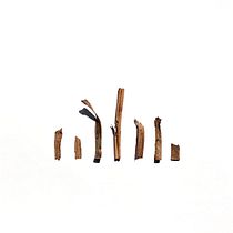 COVID-Trash. Een project van  Beeldende kunst,  Creativiteit,  Ontwerp y Grafisch ontwerp van Joan Maria Roig Ortiz - 03.04.2020