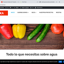 Mi Proyecto del curso: Creación de una web profesional con WordPress. Projekt z dziedziny Kreat i wność użytkownika David Sola Asensio - 04.04.2020