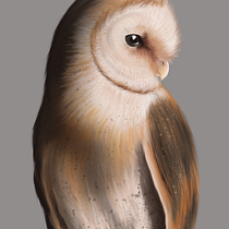 My project in Naturalist Animal Illustration with Procreate course. Criatividade, Pintura digital, e Artes plásticas projeto de sarleej - 05.04.2020