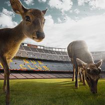 Mi Proyecto del curso: Fotomontaje surrealista con Photoshop . Un proyecto de Dibujo digital, Diseño gráfico y Fotografía digital de Juanma Muñoz Estrada - 05.04.2020