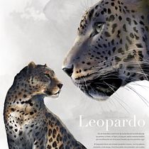 Leopardo. Ilustração digital projeto de Mechi Arrighi - 09.04.2020