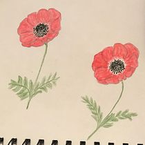 My project in Creation of Color Palettes with Watercolor course. Un progetto di Pittura ad acquerello di lindaherbalist - 30.09.2020