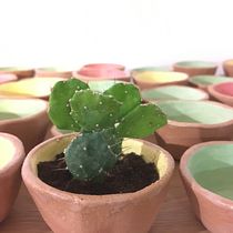 Mi Proyecto del curso: Cerámica creativa: da forma a tus ideas con una técnica artesanal. Ceramics project by Berta Vilaseca - 04.12.2020