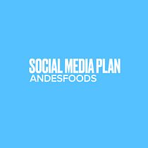 Social Media Plan . Communication project by Andrea Rey - 05.07.2020
