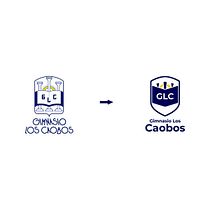 My project in Logo Design: From Concept to Presentation course. Br, ing, Identit, and Graphic Design project by Nicolas Villegas - 04.16.2020