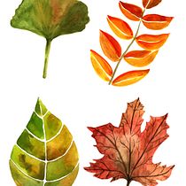 Mi Proyecto del curso: Ilustración botánica con acuarela. Desenho artístico, e Design projeto de Siboney Appelgren - 17.04.2020