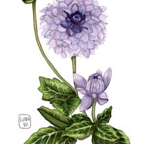 Mi Proyecto del curso: Ilustración botánica con acuarela. Artes plásticas, Ilustração tradicional, Ilustração botânica, Pintura, e Pintura em aquarela projeto de Luna Pinzón Herrera - 16.04.2020