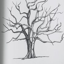 My project in Drawing for Beginners Level -1 course. Drawing project by ciana20 - 04.22.2020