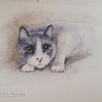 Mi Proyecto del curso: Técnicas experimentales de acuarela para principiantes  Ein Projekt aus dem Bereich H und werk von Silvia - 17.04.2020