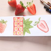 Mini diario naturalista. Un progetto di Creatività, Graphic design, Illustrazione botanica e Pittura ad acquerello di Lara Izquierdo - 18.04.2020
