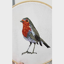 Meu projeto do curso: Pintar com linha: técnicas de ilustração têxtil. Bordado projeto de Beatriz Araujo - 21.04.2020