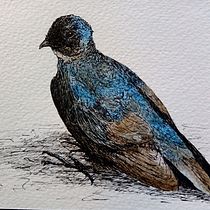 My Nature Diary. Un progetto di Illustrazione botanica e Pittura ad acquerello di rjupa - 30.04.2020